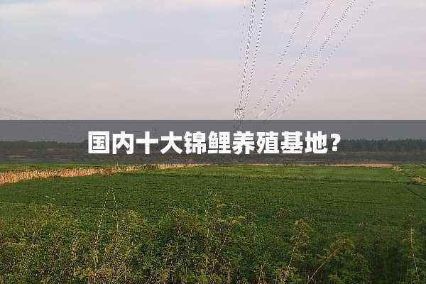 国内十大锦鲤养殖基地？