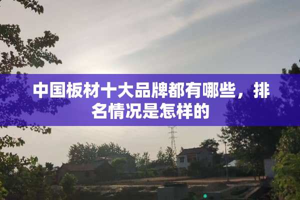 中国板材十大品牌都有哪些，排名情况是怎样的