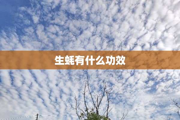 生蚝有什么功效