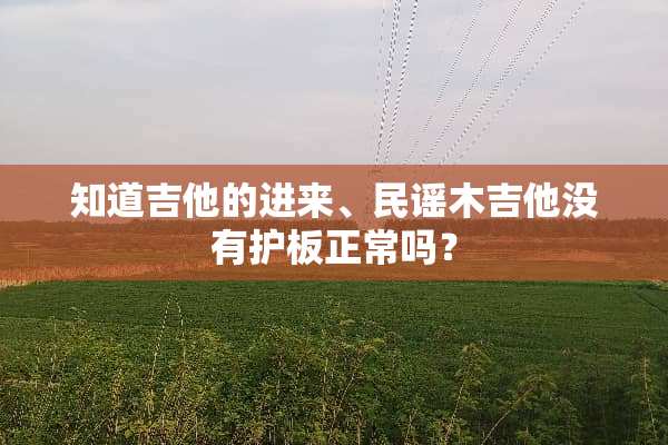 知道吉他的进来、民谣木吉他没有护板正常吗？