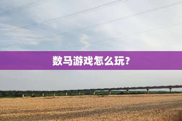 数马游戏怎么玩？