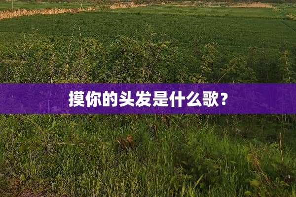 摸你的头发是什么歌？