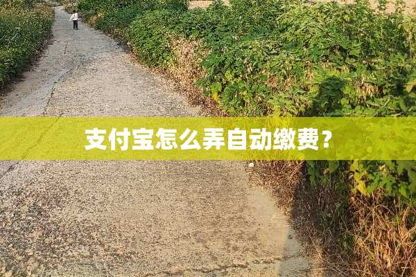 支付宝怎么弄自动缴费？