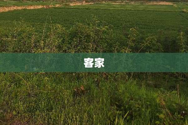 客家