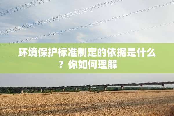 环境保护标准制定的依据是什么？你如何理解