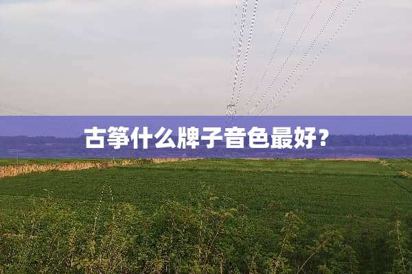 古筝什么牌子音色最好？