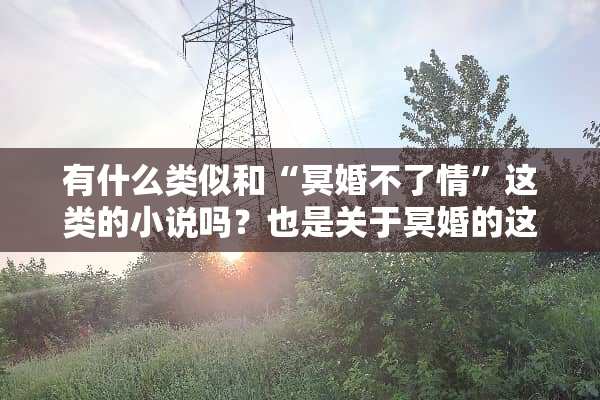 有什么类似和“冥婚不了情”这类的小说吗？也是关于冥婚的这个小说挺好看的？