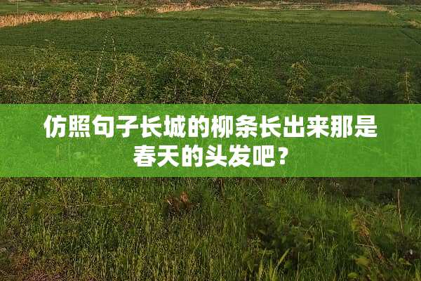 仿照句子长城的柳条长出来那是春天的头发吧？