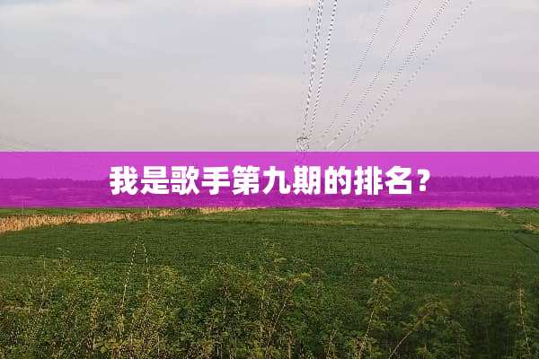 我是歌手第九期的排名？