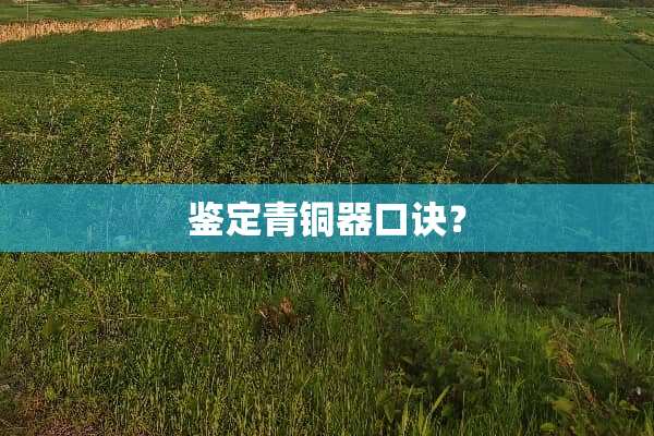 鉴定青铜器口诀？