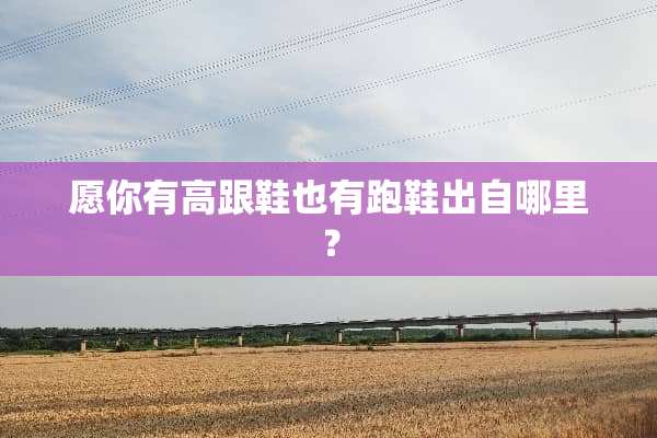 愿你有高跟鞋也有跑鞋出自哪里？
