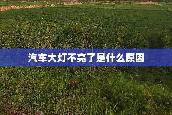 汽车大灯不亮了是什么原因