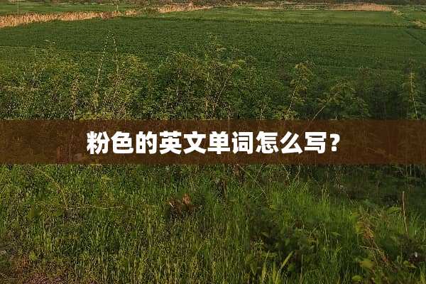 粉色的英文单词怎么写？