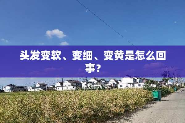 头发变软、变细、变黄是怎么回事？