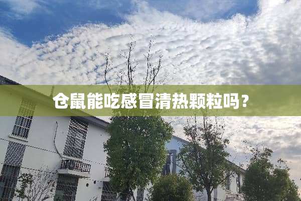 仓鼠能吃感冒清热颗粒吗？