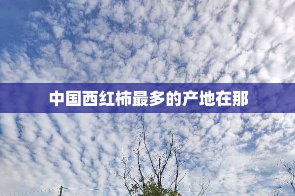 中国西红柿最多的产地在那