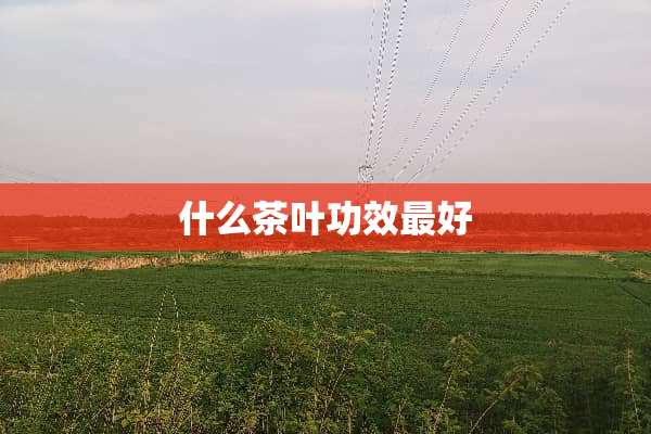 什么茶叶功效最好