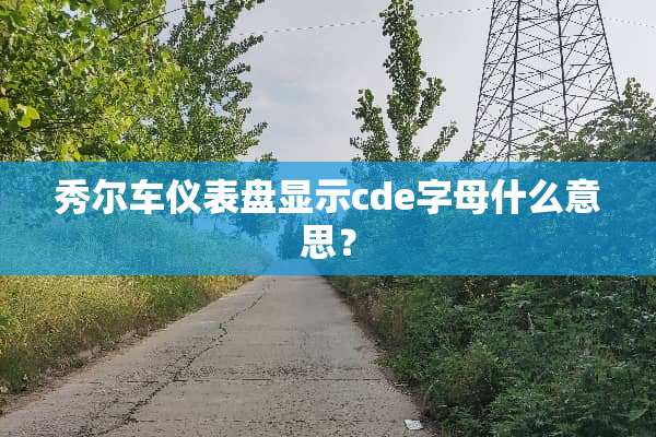 秀尔车仪表盘显示cde字母什么意思？