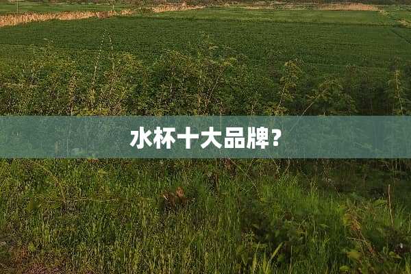 水杯十大品牌？