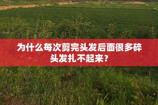 为什么每次剪完头发后面很多碎头发扎不起来？