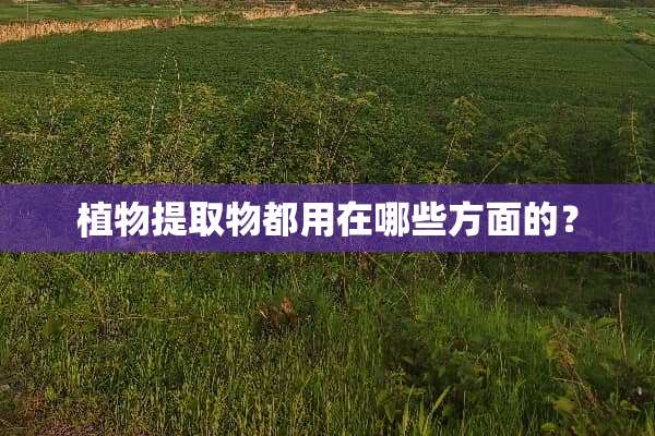植物提取物都用在哪些方面的？