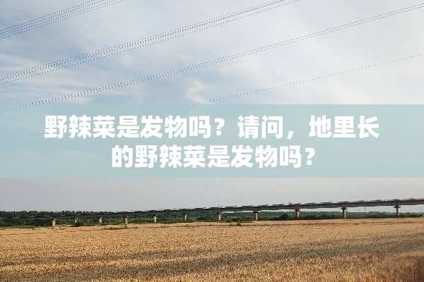 野辣菜是发物吗？请问，地里长的野辣菜是发物吗？