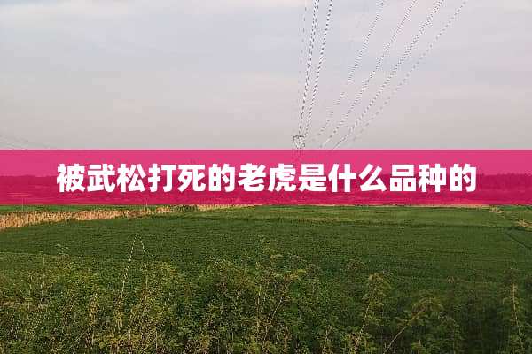 被武松打死的老虎是什么品种的
