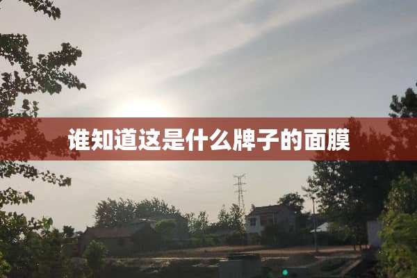 谁知道这是什么牌子的面膜