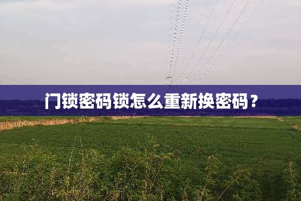 门锁密码锁怎么重新换密码？