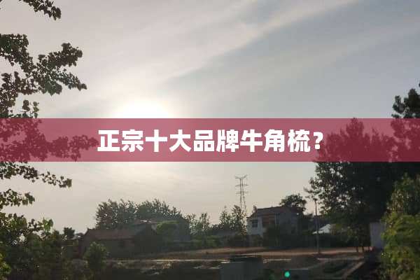 正宗十大品牌牛角梳？