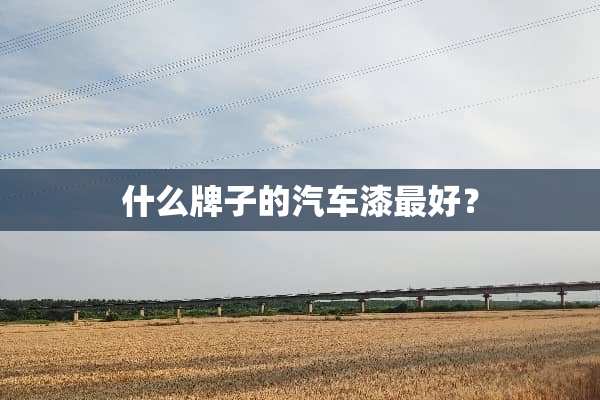 什么牌子的汽车漆最好？