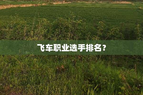 飞车职业选手排名？