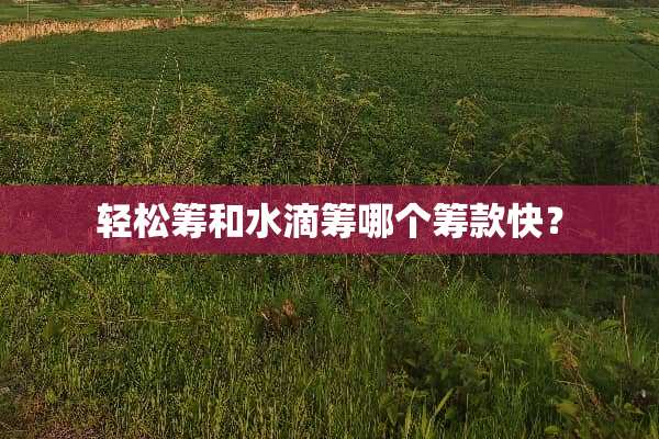 轻松筹和水滴筹哪个筹款快？