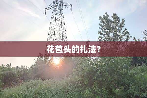 花苞头的扎法？