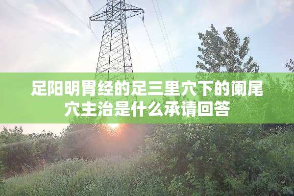 足阳明胃经的足三里*下的阑尾*主治是什么承请回答