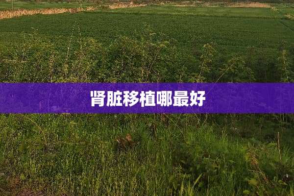 肾脏移植哪最好