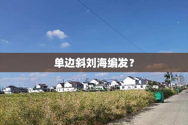 单边斜刘海编发？