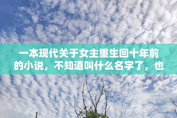 一本现代关于女主重生回十年前的小说，不知道叫什么名字了，也不知道女主名字了？