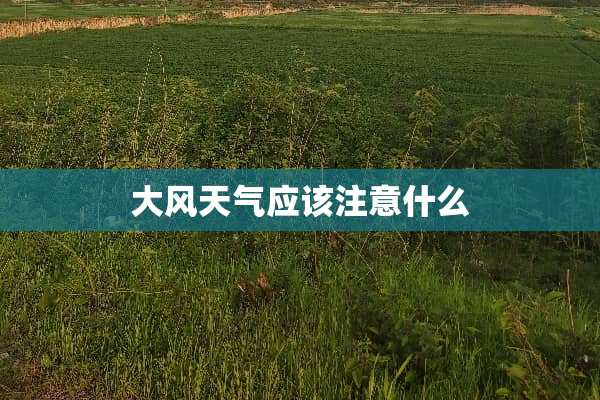 大风天气应该注意什么