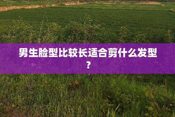 男生脸型比较长适合剪什么发型？