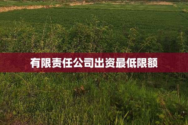 有限责任公司出资最低限额