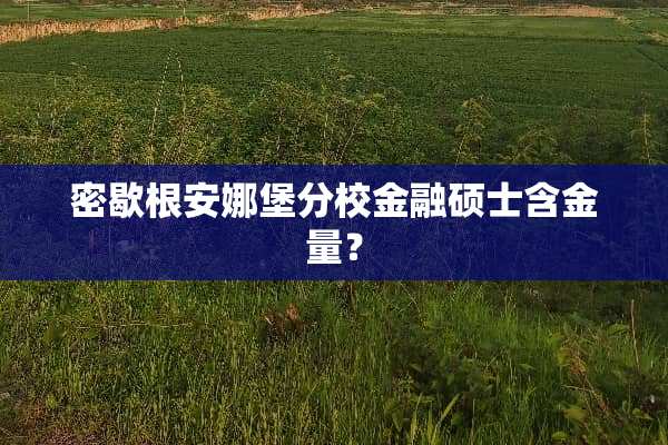密歇根安娜堡分校金融硕士含金量？