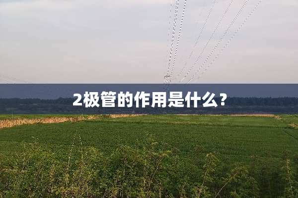 2极管的作用是什么？