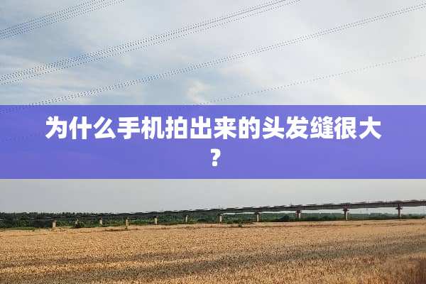 为什么手机拍出来的头发缝很大？