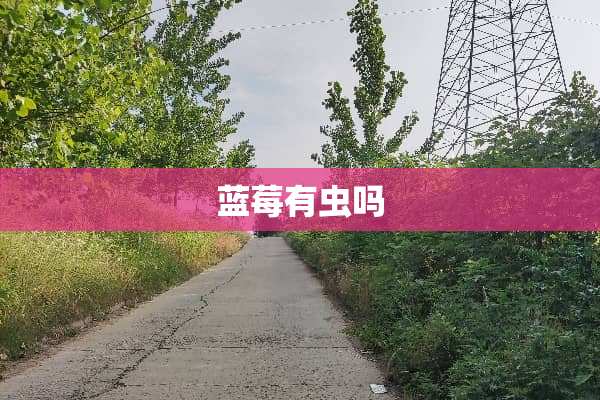 蓝莓有虫吗