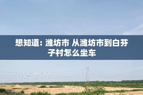 想知道: 潍坊市 从潍坊市到白芬子村怎么坐车