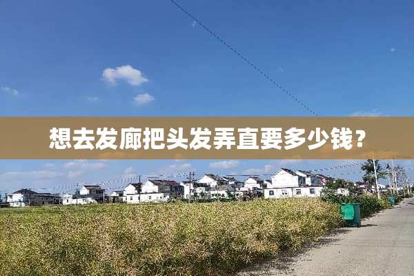 想去发廊把头发弄直要多少钱？