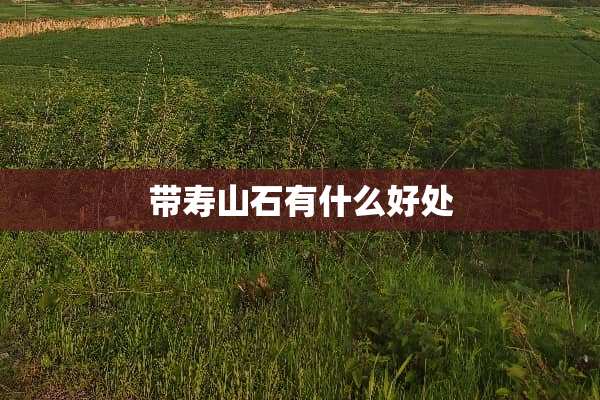 带寿山石有什么好处