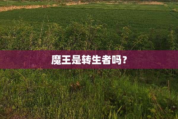 魔王是转生者吗？