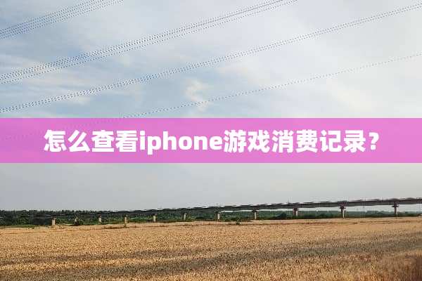 怎么查看iphone游戏消费记录？